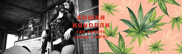 дживик Ростов