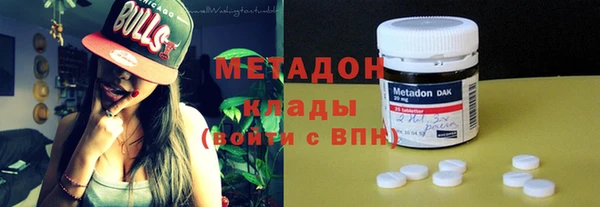 гашик Богданович
