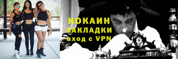 таблы Богородицк