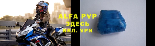гашик Богданович