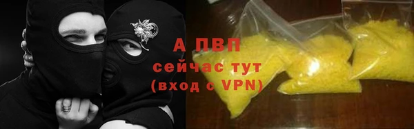 гашик Богданович