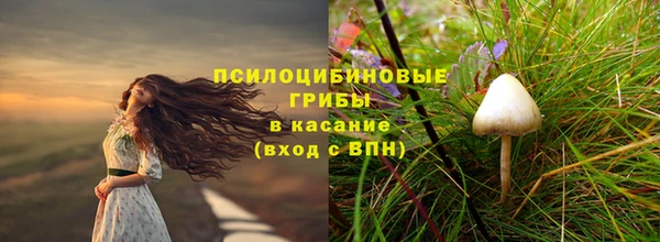 таблы Богородицк