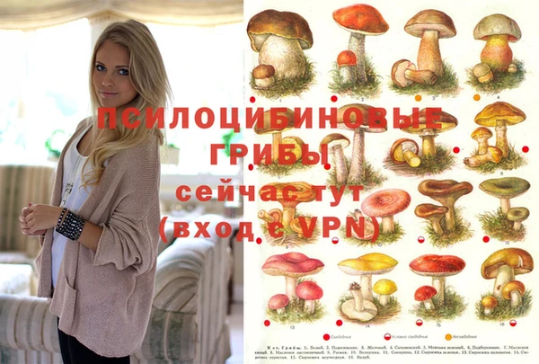 гашик Богданович