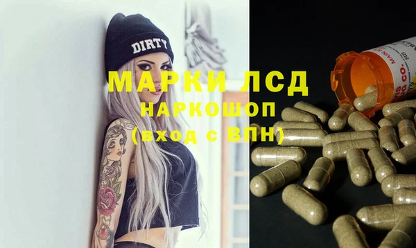 гашик Богданович