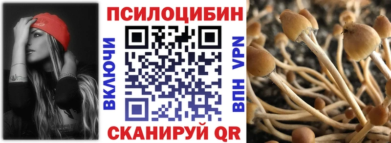 Псилоцибиновые грибы Psilocybe  Боровск 